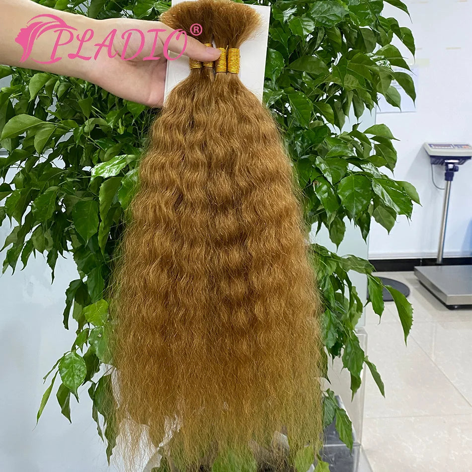 100G Wet and Wavy Bulk Hair Extensions for Braiding Human Hair Braiding Bulk Hair Extensions 100% Human Hair Bundles