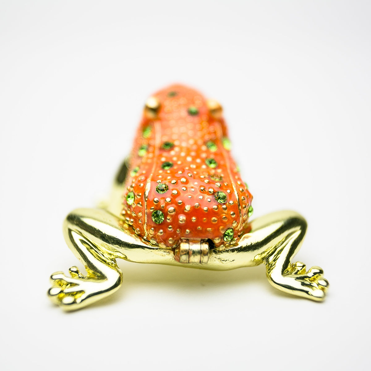 Golden Red Frog