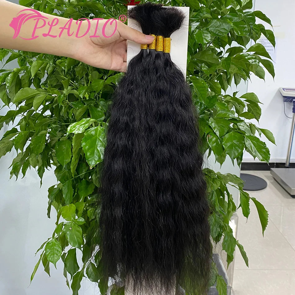 100G Wet and Wavy Bulk Hair Extensions for Braiding Human Hair Braiding Bulk Hair Extensions 100% Human Hair Bundles