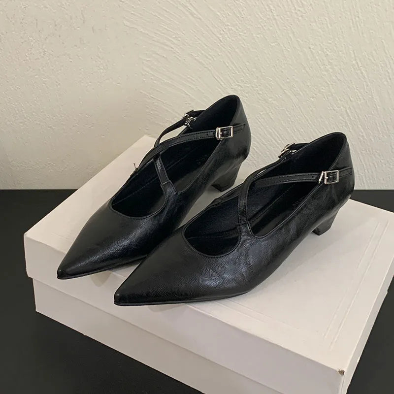 2025 New Fashion Buckle Strap Pumps Women Low Heel Shoes Female Shallow Footwear Pointed Toe Ladies Mary Janes Heeled Shoes