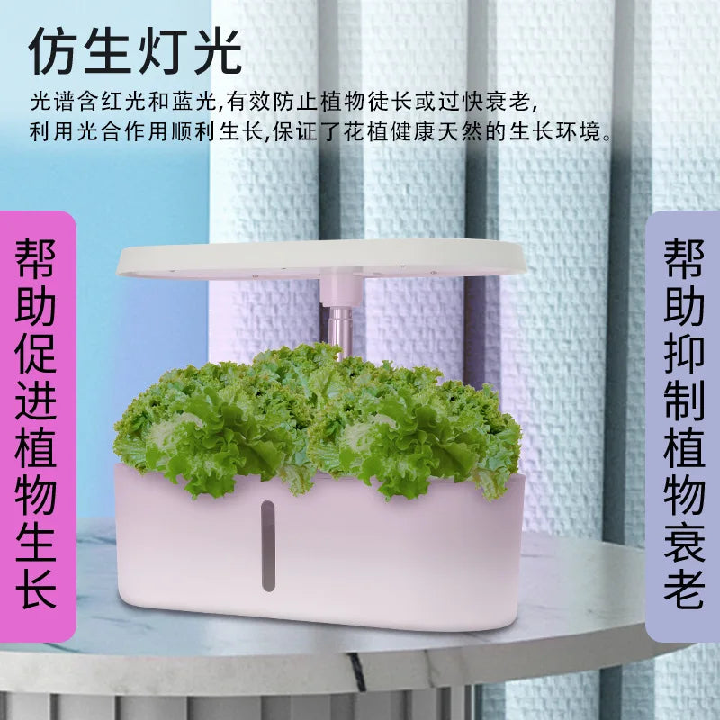 Home Smart Hydroponic Vegetable Grower Soilless Hydroponic Flower Growing System Fully Automatic Vegetable Growing System