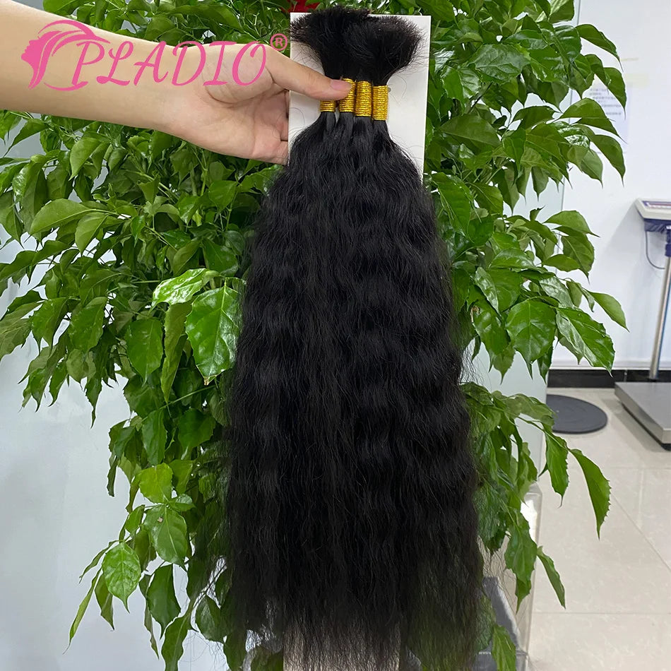 100G Wet and Wavy Bulk Hair Extensions for Braiding Human Hair Braiding Bulk Hair Extensions 100% Human Hair Bundles