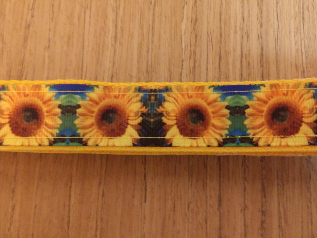 Leash/ Large/ Blue & Green Sunflowers