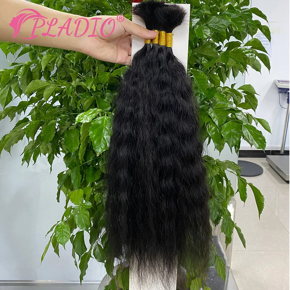 100G Wet and Wavy Bulk Hair Extensions for Braiding Human Hair Braiding Bulk Hair Extensions 100% Human Hair Bundles