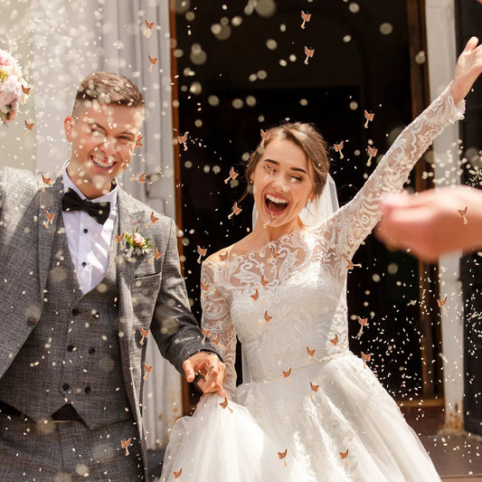 Real Flowers Petals 10g Lightweight Decor Valentine Day Wedding Party Confetti Romantic Proposals Scatters Christmas birthdays