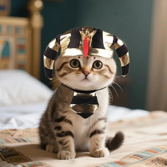 Cute Pet Egyptian Pharaoh Hat Breathable Comfortable Cat Golden Pharaoh Hat Adjustable with Bib Pet Cosplay Costume