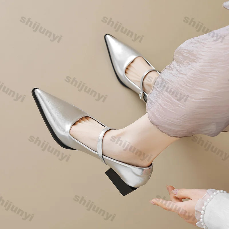 Women Chunky Heel Silver Mary Jane Shoes Spring New Women Pointed Toe Single Shoes Fashion Shallow Thick Heel Wedding Party Shoe