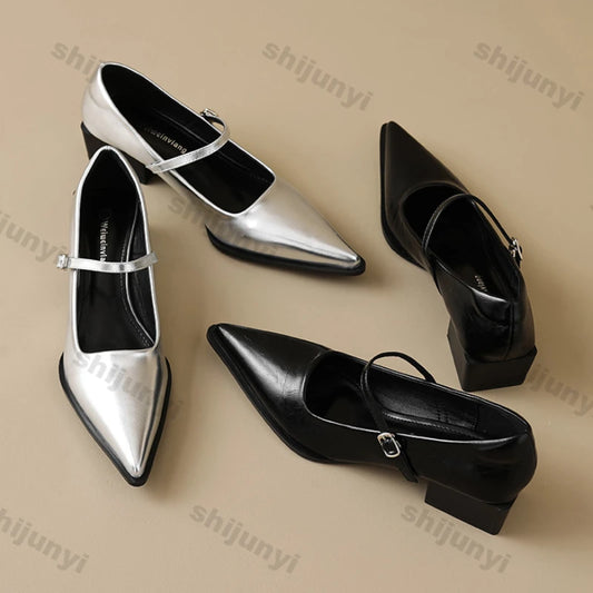 Women Chunky Heel Silver Mary Jane Shoes Spring New Women Pointed Toe Single Shoes Fashion Shallow Thick Heel Wedding Party Shoe