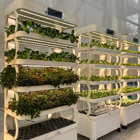 Intelligent Indoor Garden Planter - Smart Vertical Hydroponic System with LED Grow Light for Home Vegetable Year-Round Growing