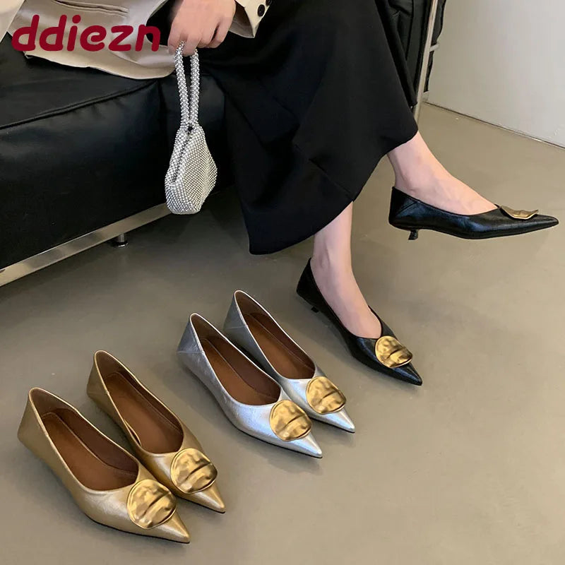 Female Slip On Footwear With Low Heel Shoes For Women New In Summer Spring Pointed Toe Fashion Metal Ladies Heeled Shoes