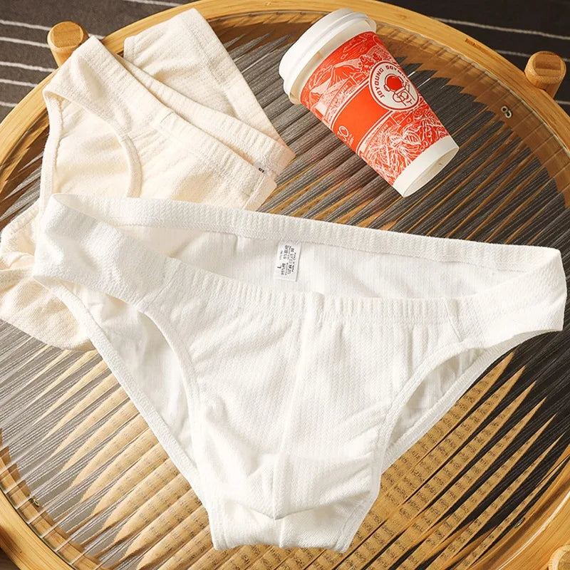 Cotton Underwear Men Sexy Bulge Pouch Briefs Breathable Underpants Soft Lingerie Male U Convex Bag Knickers Low Rise Panties