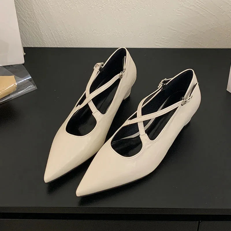2025 New Fashion Buckle Strap Pumps Women Low Heel Shoes Female Shallow Footwear Pointed Toe Ladies Mary Janes Heeled Shoes