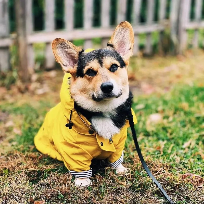For Fashion Raincoat For Dogs Waterproof Raincoat Jacket Coat Windproof For Small Medium Large Dogs Pet Fashion Clothes