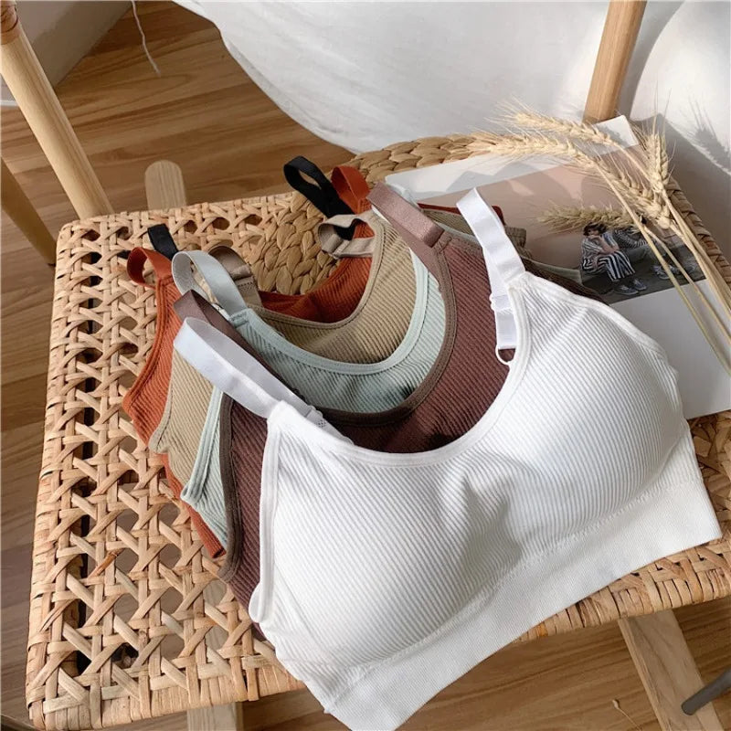 Sexy Underwear Women Gather No Steel Ring Lingerie Bra Tube Top Wrapped Chest Beauty Back Actival Cotton Thin Section Tube Top