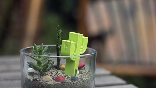 Cactus USB Car Charger