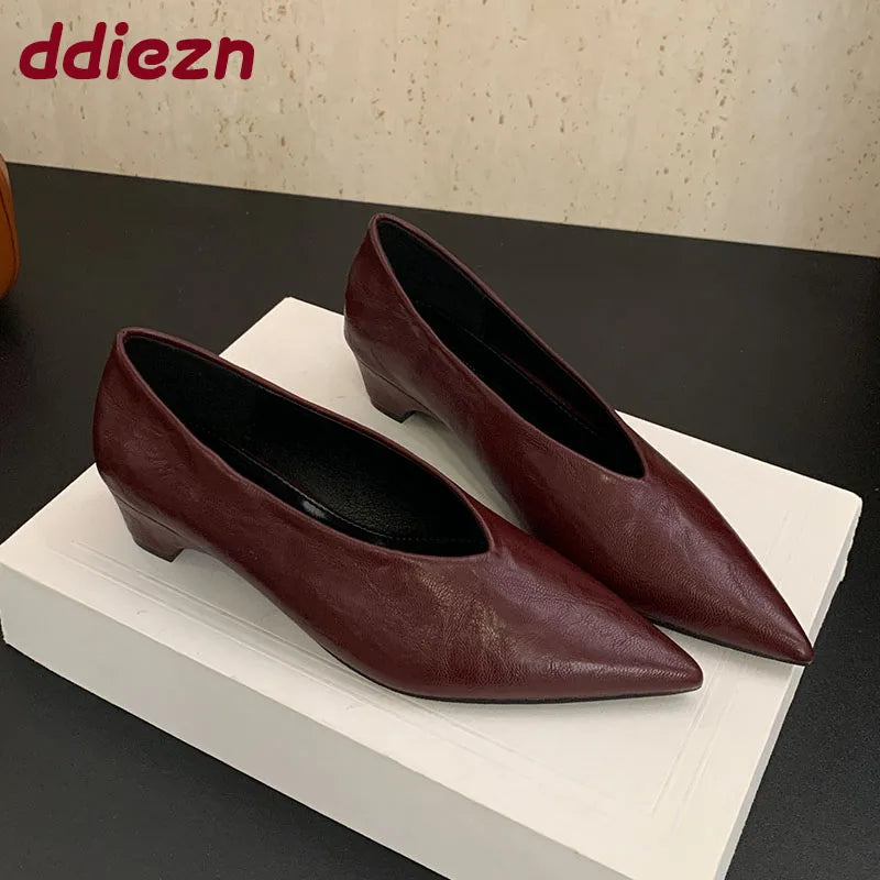 2025 New Fashion Shallow Ladies Low Heel Pumps Shoes Luxury Female Pointed Toe Footwear Slip On Women Heeled Shoes