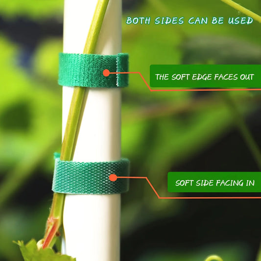 2M Nylon Plant Ties Plant Bandage Hook Tie Loop Adjustable Plant Support Reusable Fastener Tape for Home Garden Accessories