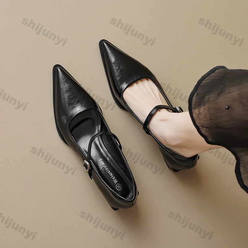 Women Chunky Heel Silver Mary Jane Shoes Spring New Women Pointed Toe Single Shoes Fashion Shallow Thick Heel Wedding Party Shoe