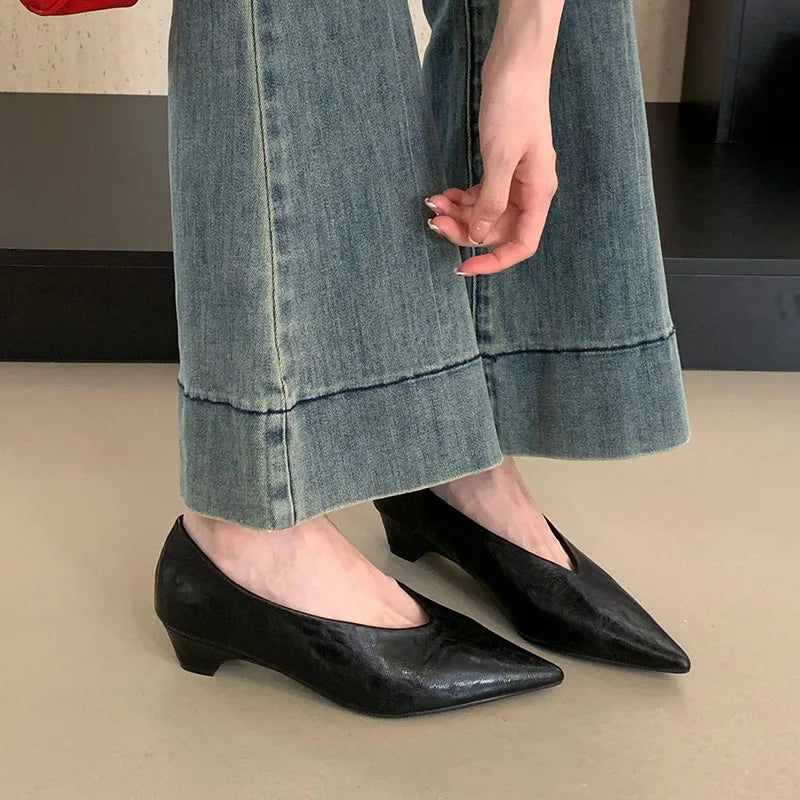 2025 New Fashion Shallow Ladies Low Heel Pumps Shoes Luxury Female Pointed Toe Footwear Slip On Women Heeled Shoes