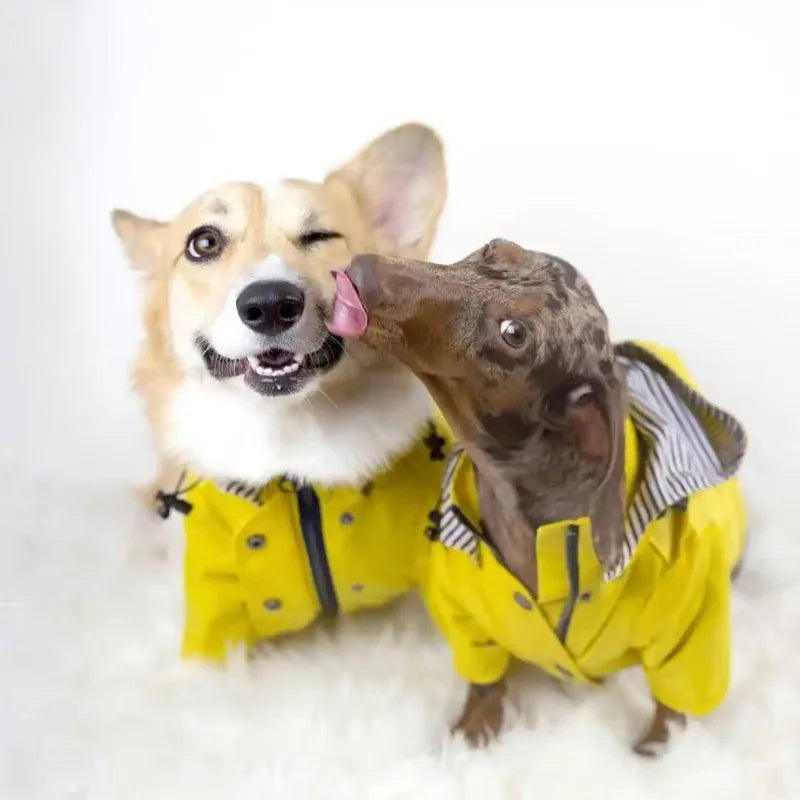 For Fashion Raincoat For Dogs Waterproof Raincoat Jacket Coat Windproof For Small Medium Large Dogs Pet Fashion Clothes
