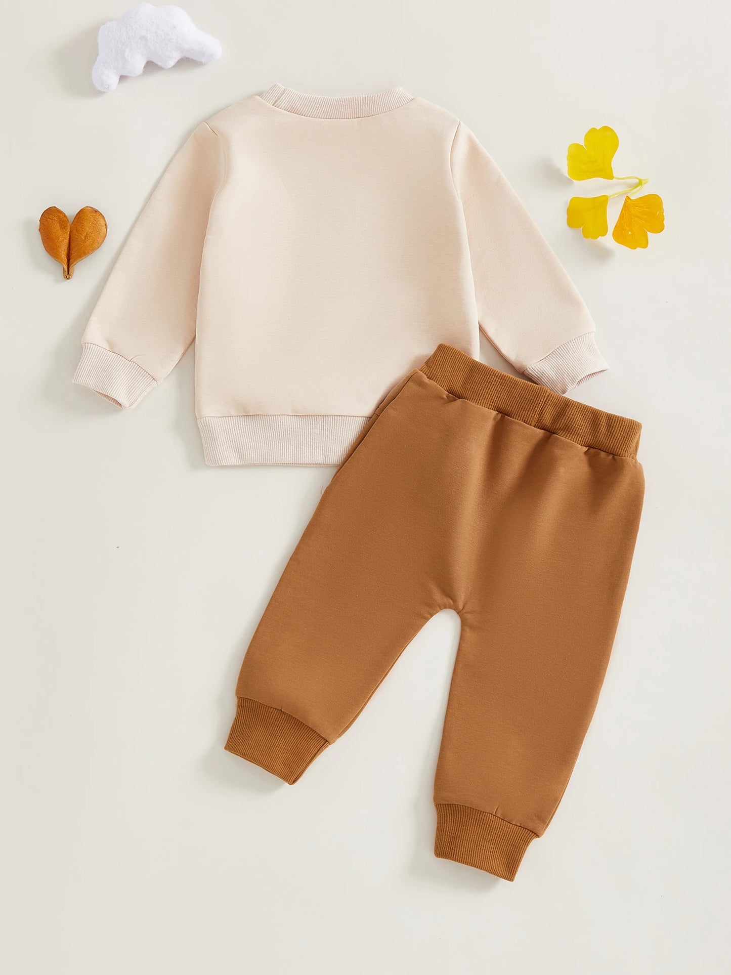 Boys Fall 2-Piece Outfit Set with Long Sleeve O Neck Top Featuring Duck Embroidery and Solid Color Pants