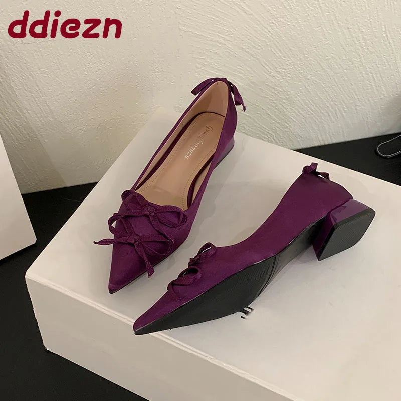Butterfly-Knot Fashion Pointed Toe Ladies Heels Pumps Shoes 2025 New Silk Female Slip On Footwear Shallow Women Low Heel Shoes