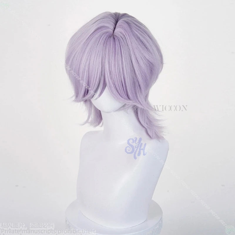 Saja Boys Mystery Cosplay Kpop Demon Anime Hair Purple Gray Wig Heat Resistant Synthetic Hair Wigs + Wig Cap Halloween Christmas