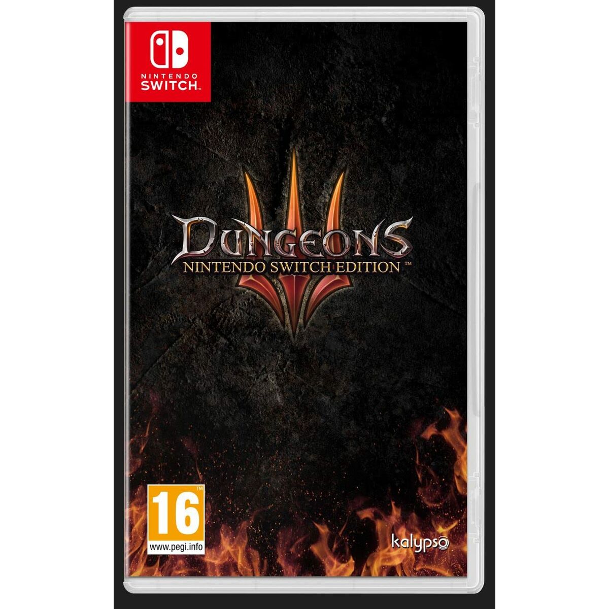 Video game for Switch KOCH MEDIA DUNGEONS