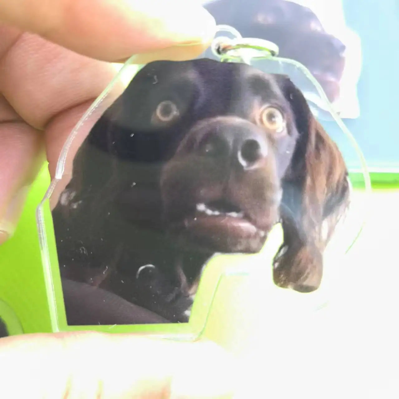 Cute Keychain Dog Meme Keychains Scared Black Dog Meme Confused Dog Gift For Friends Bag Pendant Greyhound Dog Meme