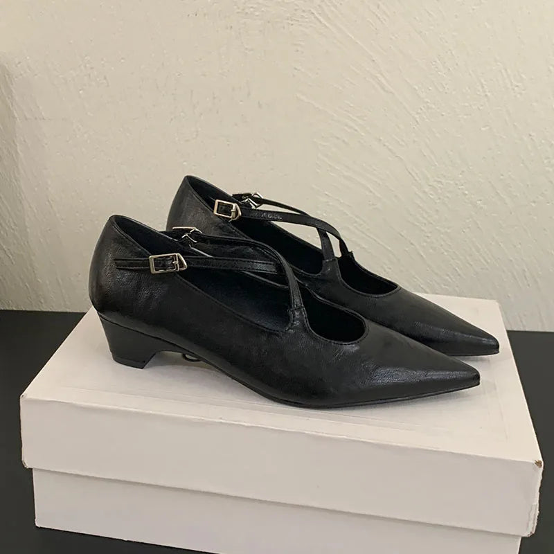 2025 New Fashion Buckle Strap Pumps Women Low Heel Shoes Female Shallow Footwear Pointed Toe Ladies Mary Janes Heeled Shoes