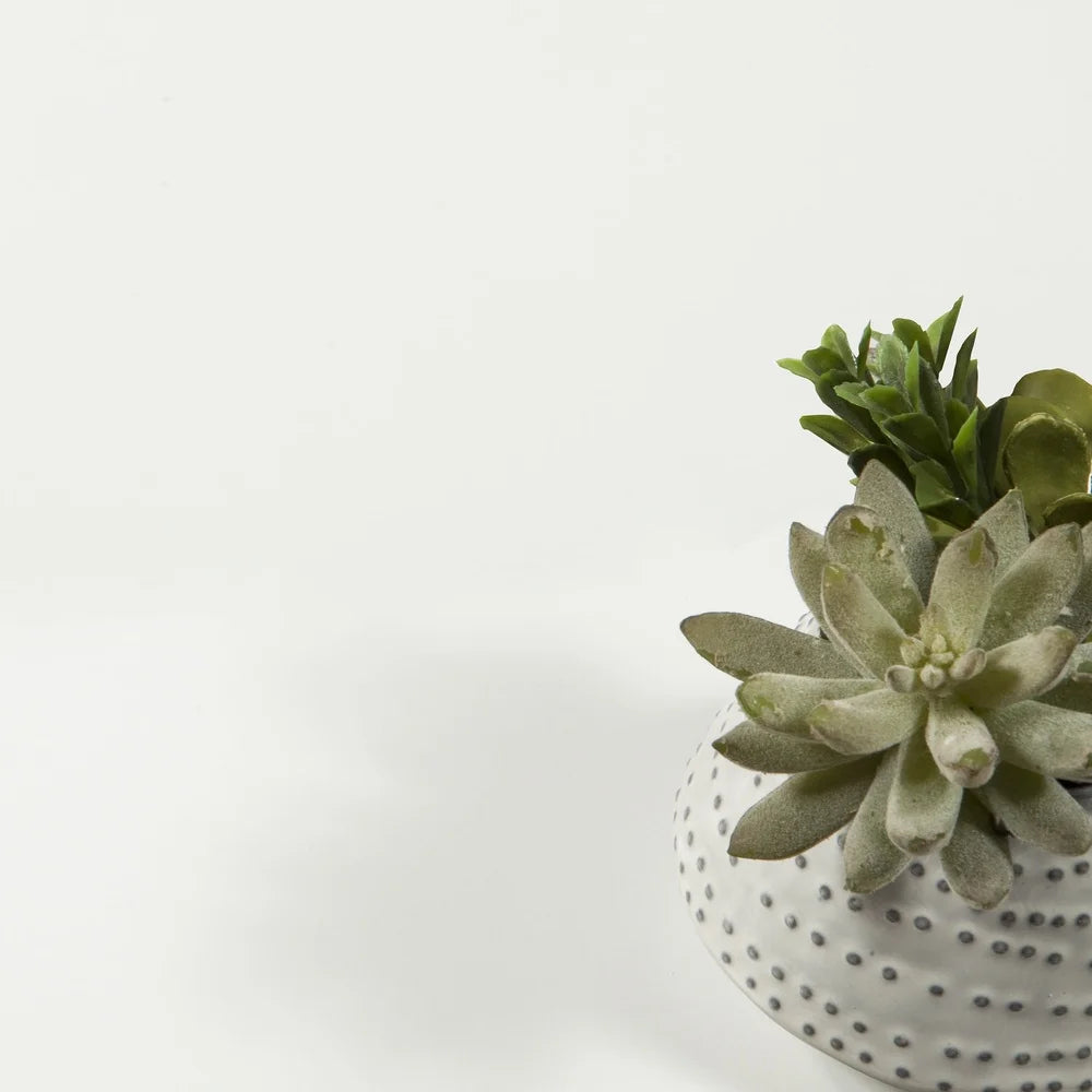 Portland Contemporary 6 Drawer Dresser Adult Storage Unit Scandinavian Design Bedroom Organizer Smooth Glides Assembly Required