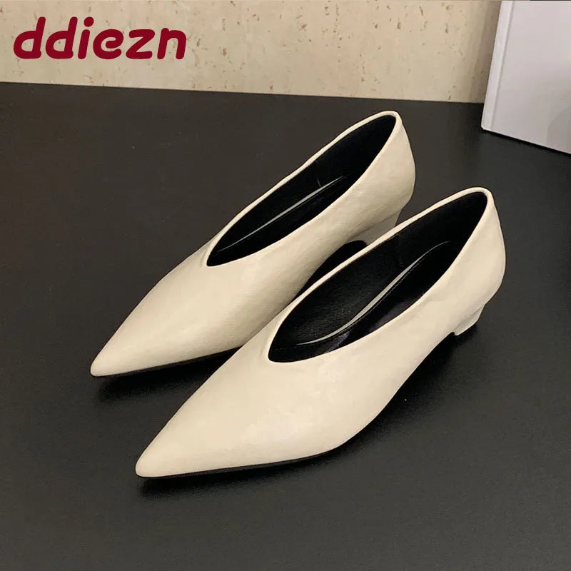 Pointed Toe Footwear Slip On Pumps Women Heeled Shoes Casual Female Fashion Shallow Ladies Low Heel Shoes 2025 New
