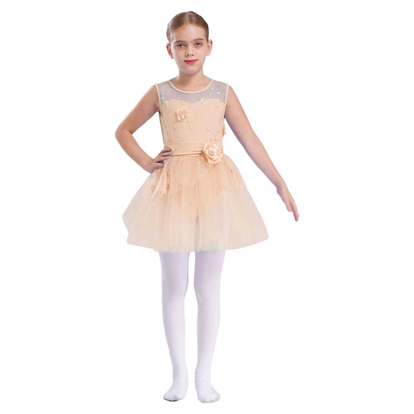 Kids Girls Ballet Dance Dress Ballerina Princess Costume Applique Embroidered Figure Skating Leotard Dress for Stage Performance