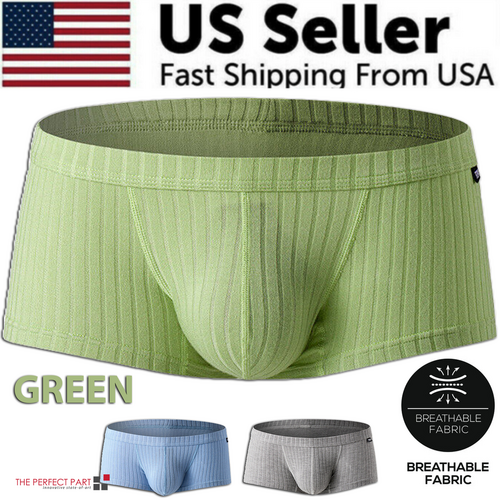 Men's Sexy Underwear Low waist Briefs U Pouch Boxers Striped Shorts