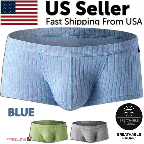 Men's Sexy Underwear Low waist Briefs U Pouch Boxers Striped Shorts