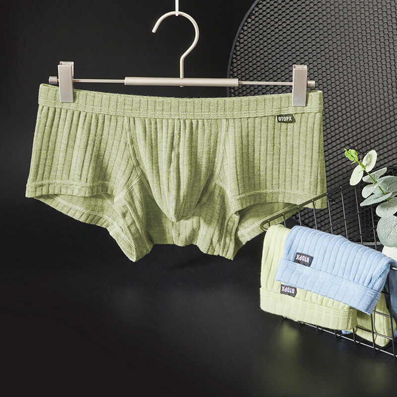 Men's Sexy Underwear Low waist Briefs U Pouch Boxers Striped Shorts