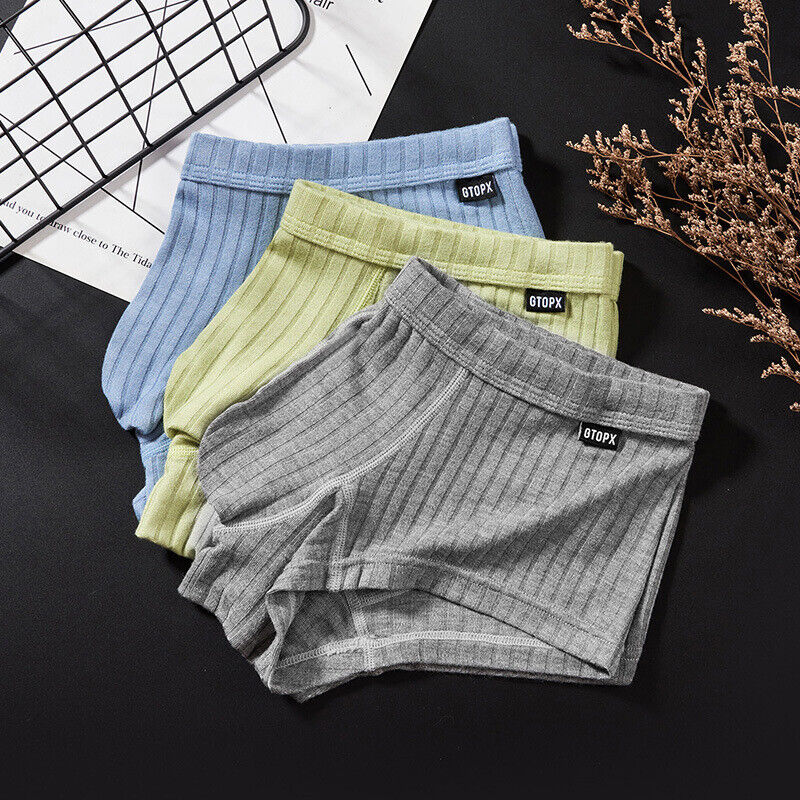 Men's Sexy Underwear Low waist Briefs U Pouch Boxers Striped Shorts