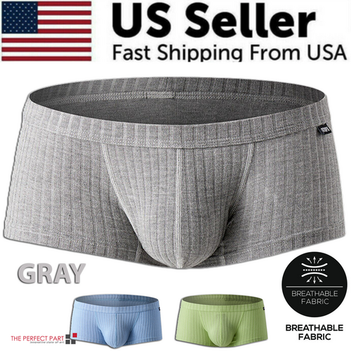 Men's Sexy Underwear Low waist Briefs U Pouch Boxers Striped Shorts
