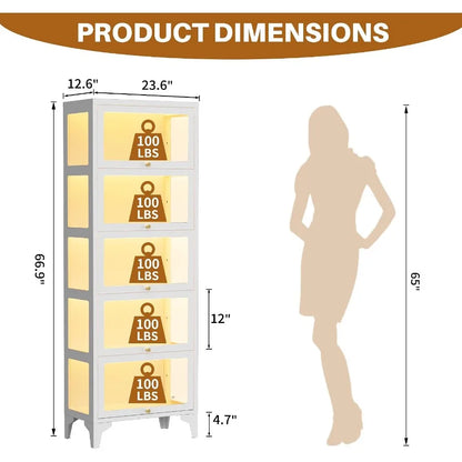 Glass Display Cabinet with LED Lights, 67" Curio Cabinet