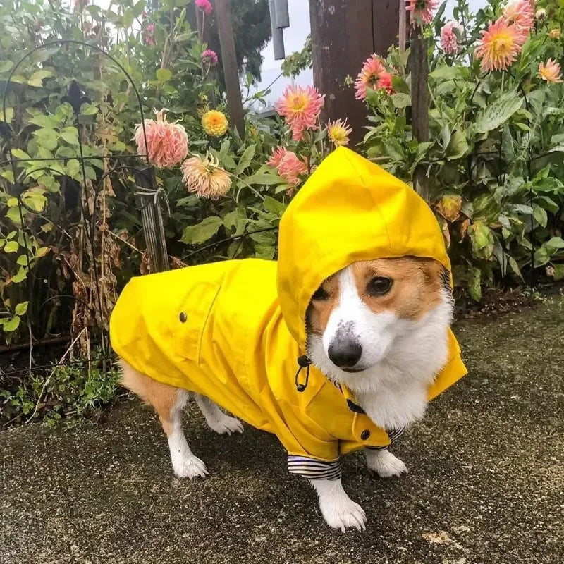 For Fashion Raincoat For Dogs Waterproof Raincoat Jacket Coat Windproof For Small Medium Large Dogs Pet Fashion Clothes
