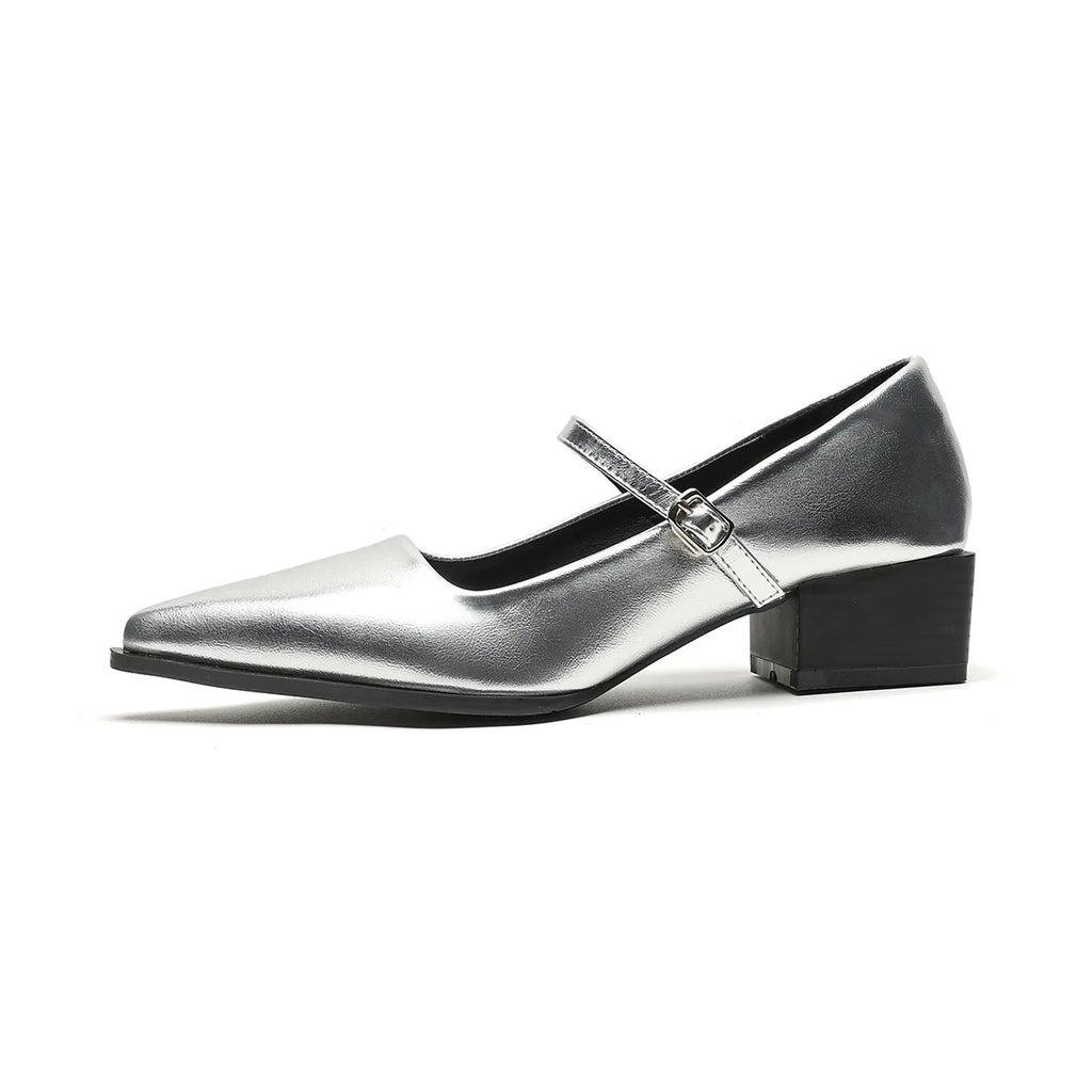 Women Chunky Heel Silver Mary Jane Shoes Spring New Women Pointed Toe Single Shoes Fashion Shallow Thick Heel Wedding Party Shoe