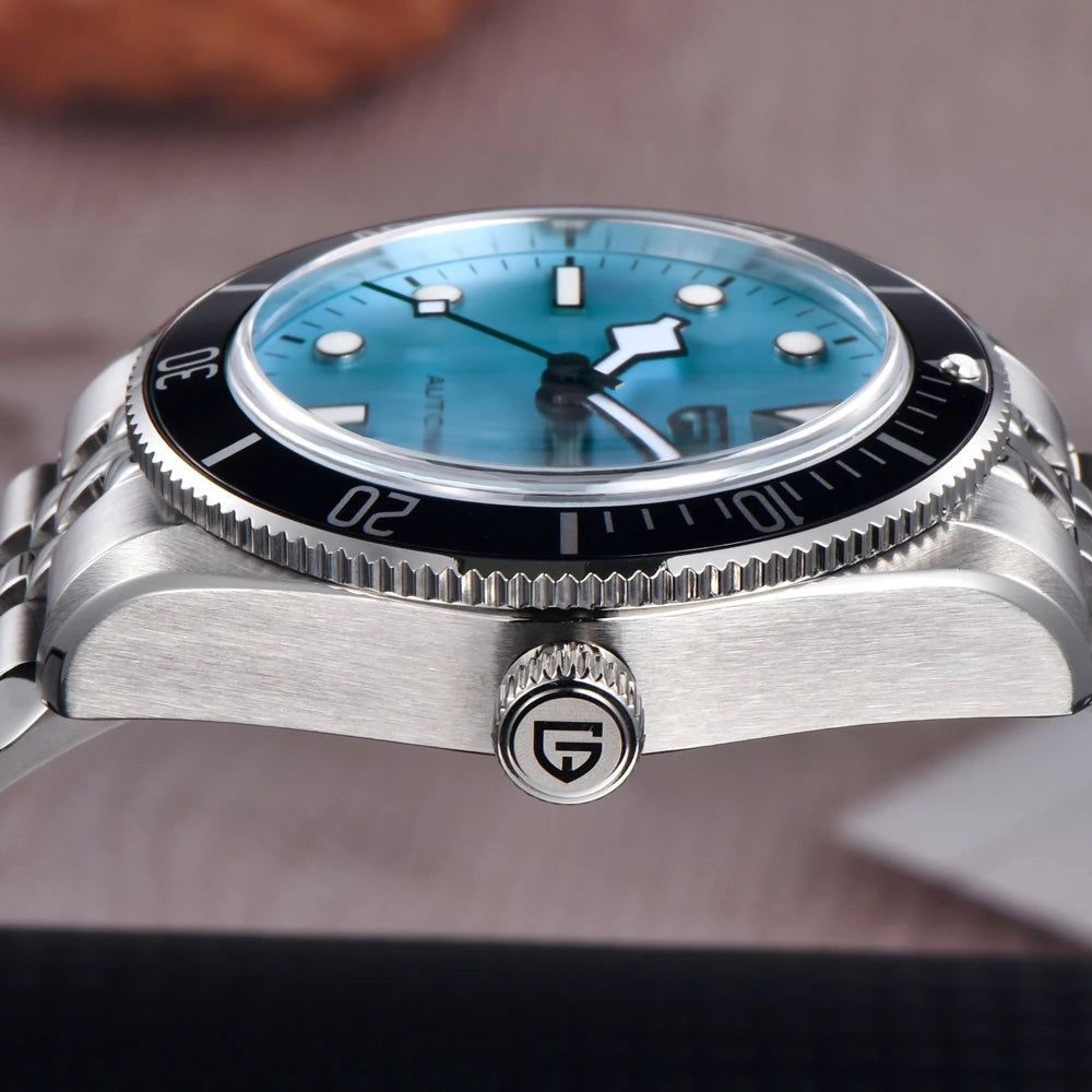 PAGANI DESIGN Luxury Men's Watch 2025 New Mechanical Wristwatch Sapphire Mirror Clock With BOX Fashion Luminous Automatic Watch