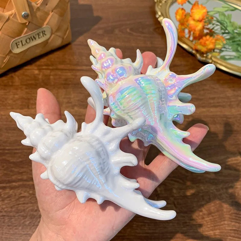 Conch Shape Party Hair Styling Barrettes for Women Girl Ocean Style Hair Clips Bride Headpiece Bridesmaid Hair Gift 2025