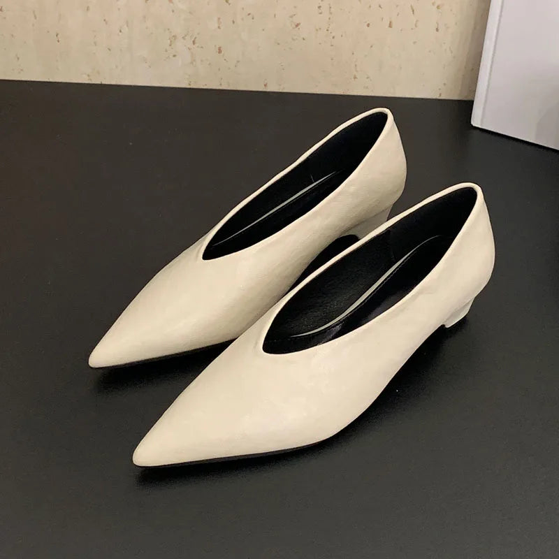 Pointed Toe Footwear Slip On Pumps Women Heeled Shoes Casual Female Fashion Shallow Ladies Low Heel Shoes 2025 New
