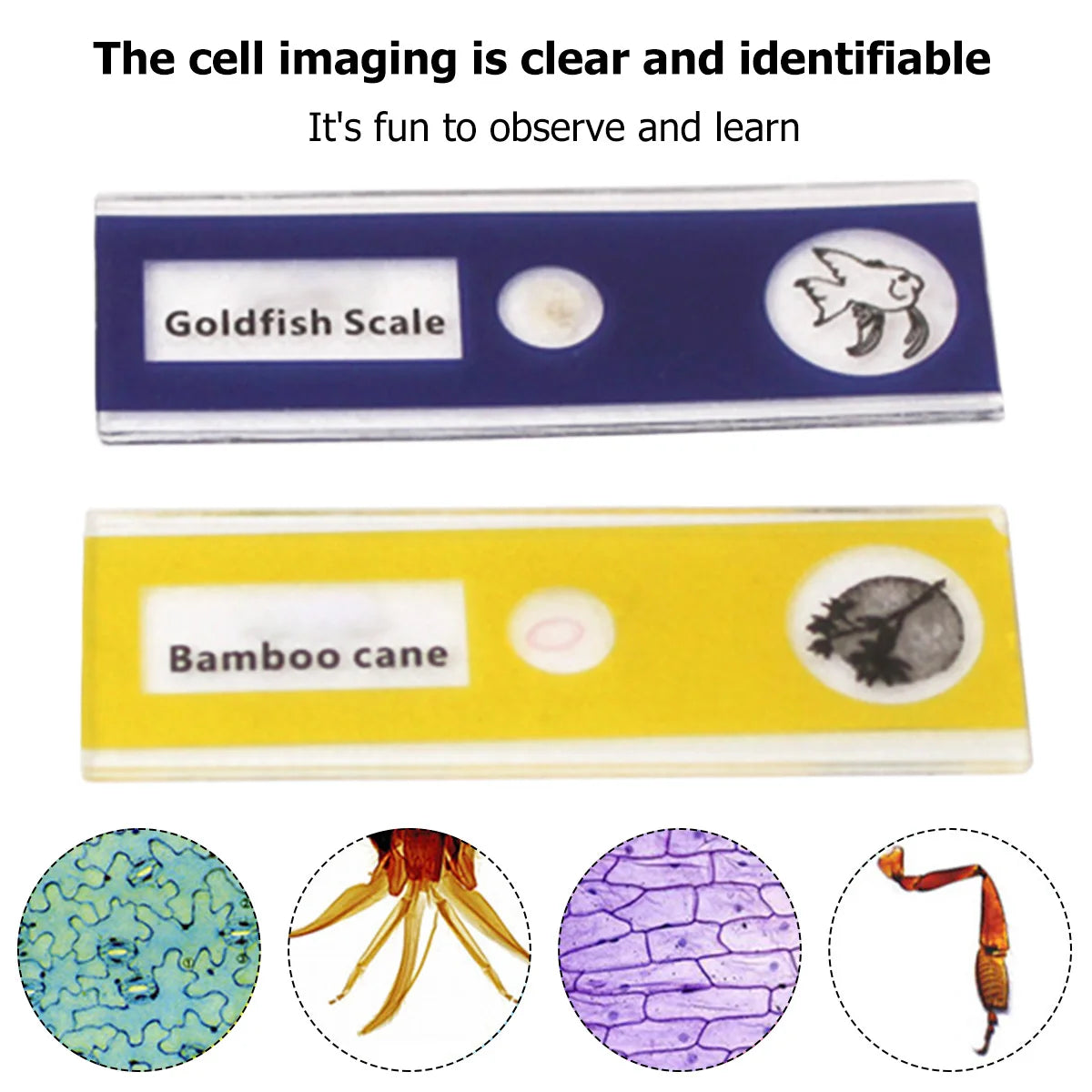 Kids Educational Pocket Handheld Microscope with LED Light