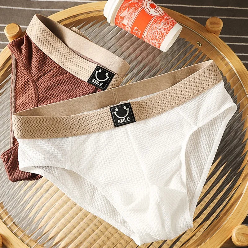 Men Ice Silk Underwear Bulge Pouch Briefs Man Sexy Panties Breathable Underpants Soft Lingerie Male Comfortable Knickers