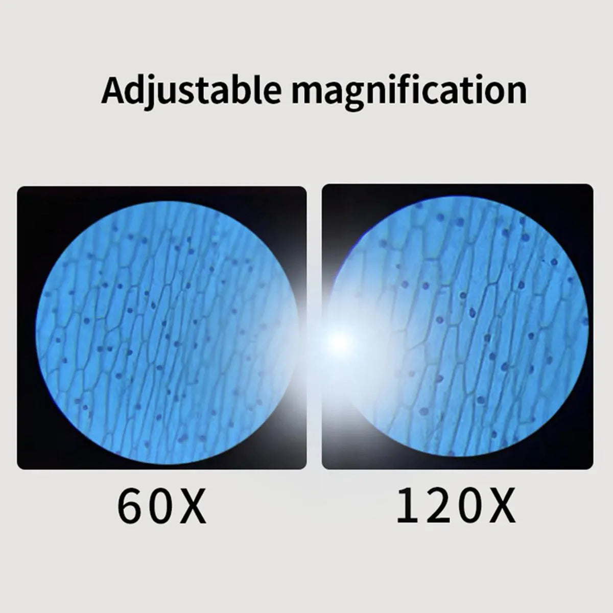 Kids Educational Pocket Handheld Microscope with LED Light