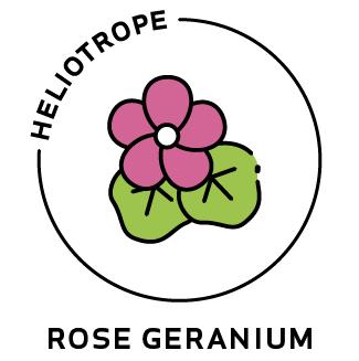 Essential Oil - Rose Geranium