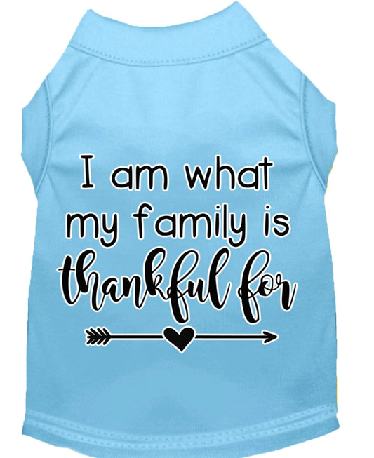 Mirage Pet 51-435 BBLMD I Am What My Family is Thankful for Screen Pri