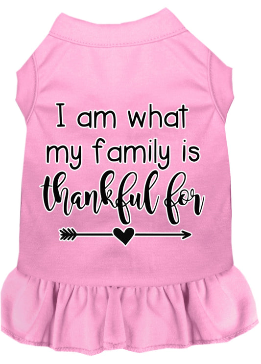 Mirage Pet 58-435 LPKXXL I Am What My Family is Thankful for Screen Pr